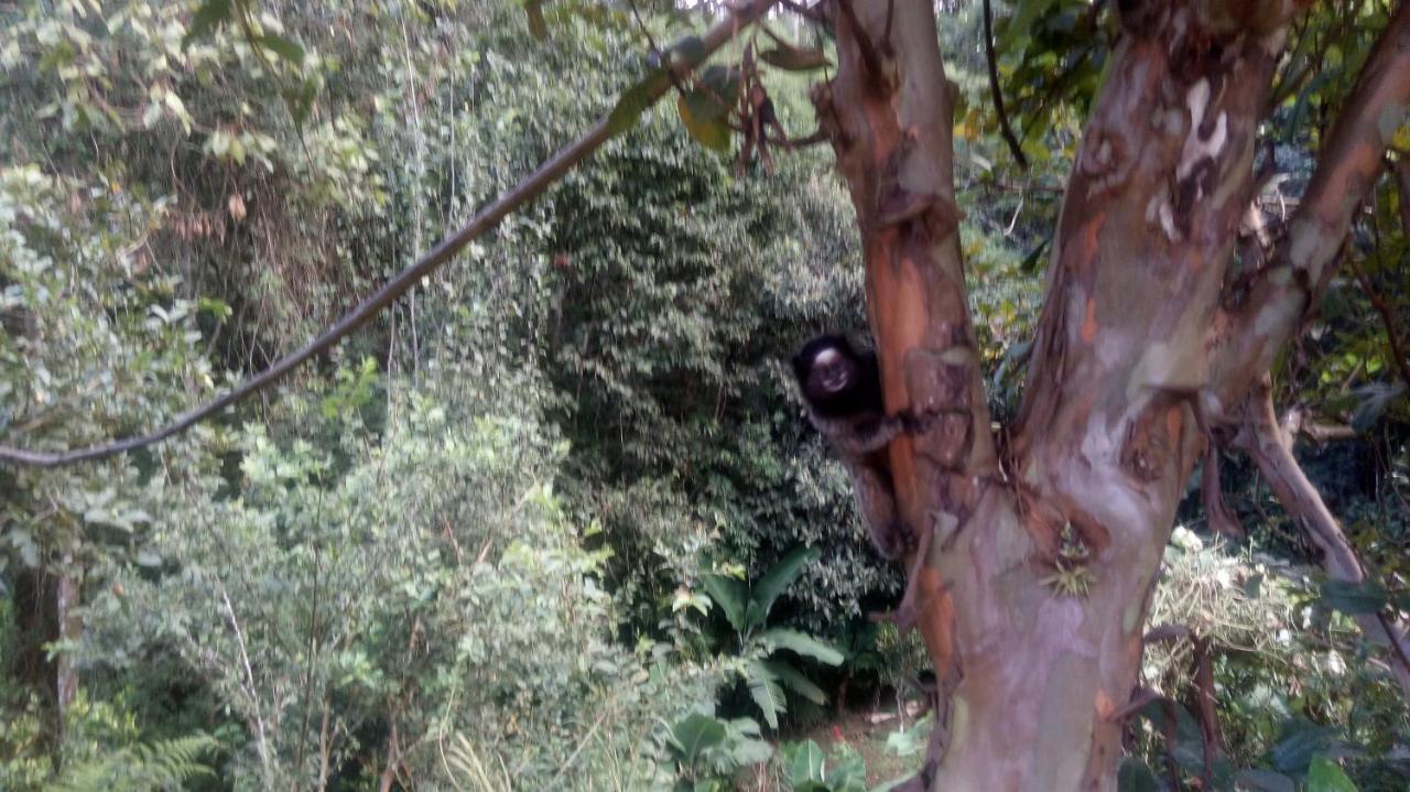 Chalés pouso do vale Visconde De Maua Esterno foto